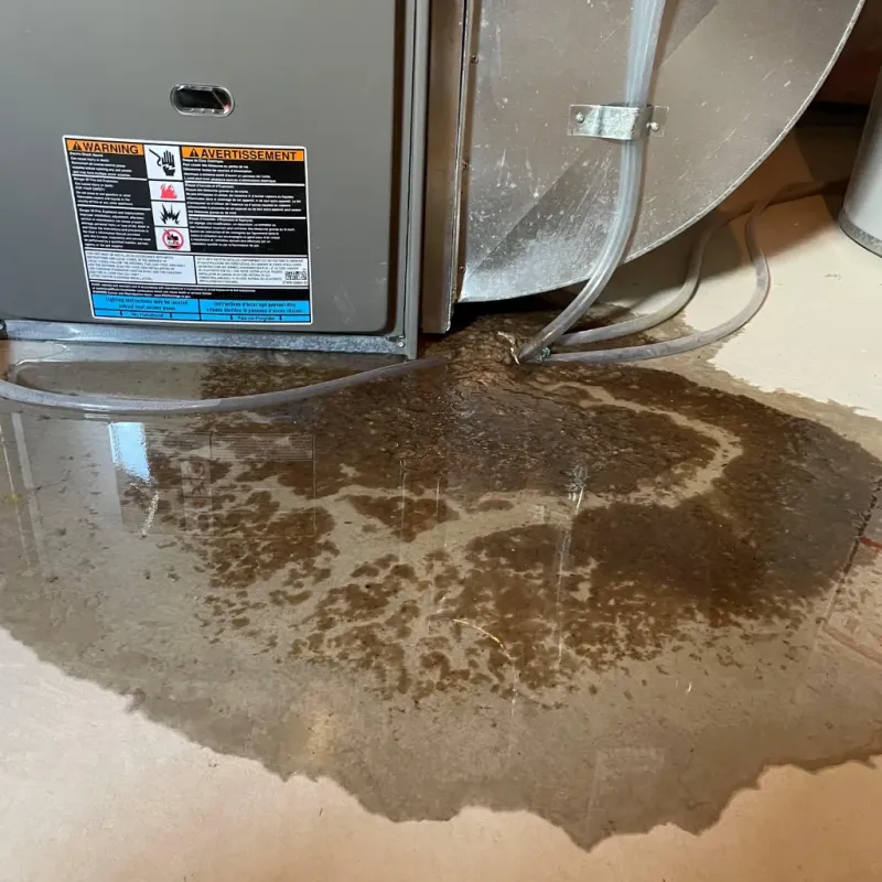 Appliance Leak Cleanup in Williamstown, VT